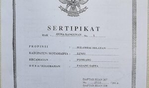 Pemda-Luwu-Pungut-Retribusi-Pasar-Secara-Ilegal-Hingga-Puluhan-Miliar