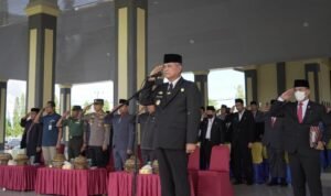 Pemkab-Luwu-Beri-Penghargaan-di-Peringatan-HKN-Ke-58