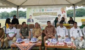 gerakan-pangan-murah-kabupaten-luwu