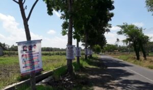 apk-di-pohon-2