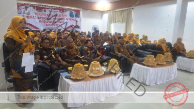 Bupati Luwu Paparkan Capaian 9 Tatanan Kabupaten Sehat di Program Wistara Paripurna