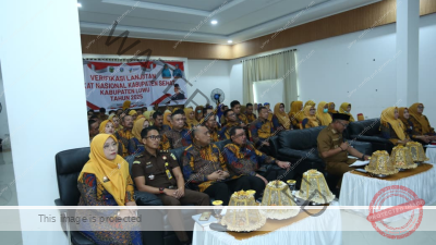 Bupati Luwu Paparkan Capaian 9 Tatanan Kabupaten Sehat di Program Wistara Paripurna
