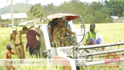 Persetujuan Ranperda RPJMD Kabupaten Luwu