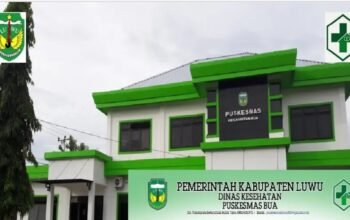 Advokasi Lembaga Informasi dan Pendampingan Rakyat Sekaligus Aktivis Muda Luwu, Kecam Keras Kelalaian di Puskesmas Bua